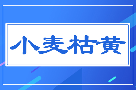 С�����S