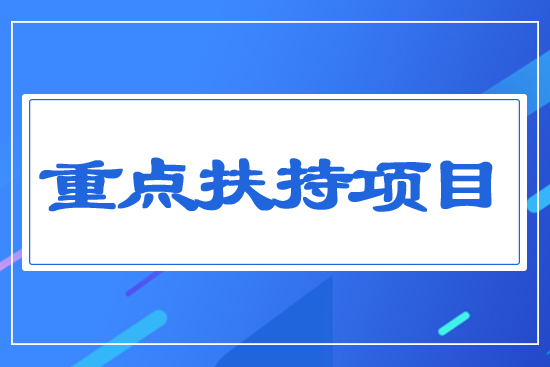 ���c(di��n)�����(xi��ng)Ŀ