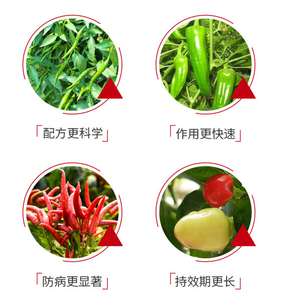 ����-���ս�_05