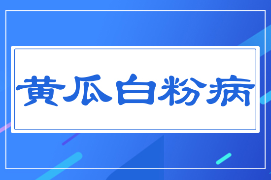 �S�ϰ׷۲�