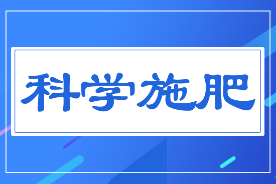 �ƌW(xu��)ʩ��