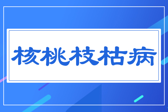 ����֦�ݲ�