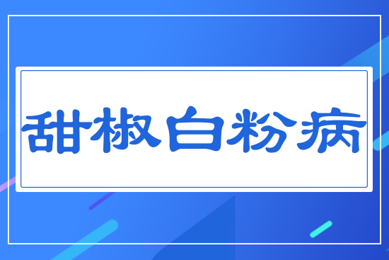 �𽷰׷۲�