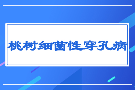 �Ҙ�(sh��)��(x��)���Դ��ײ�