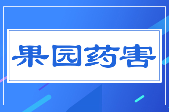 ���@ˎ��