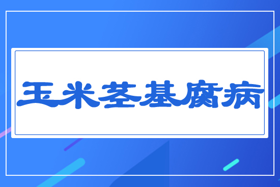 �����o������