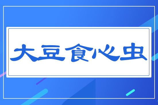 ��ʳ���x