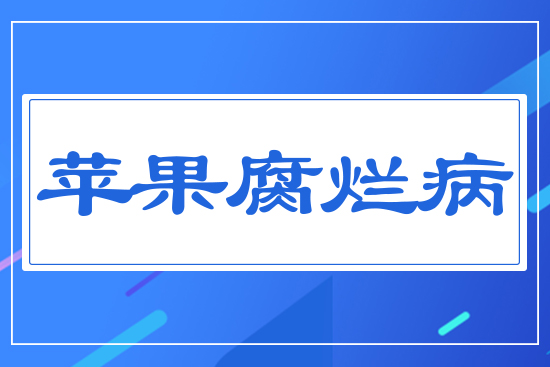�O��������