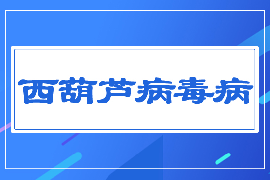 �����J������