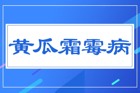 �S��˪ù��