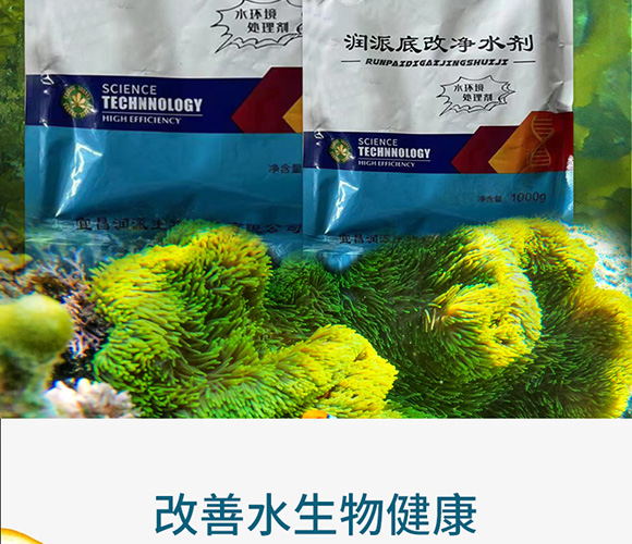 潤派底改凈水劑-潤派生物_02