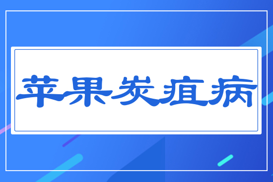 �O(p��ng)��̿�Ҳ�