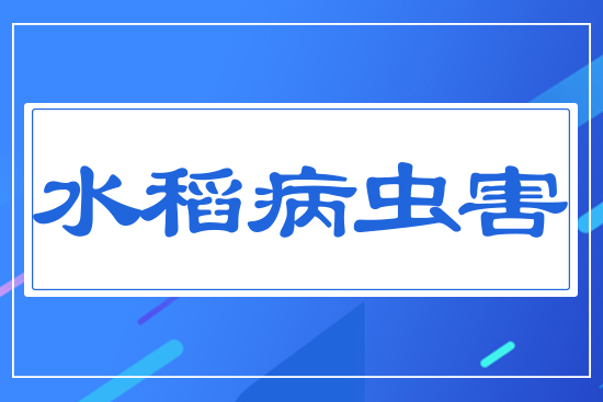 ˮ�����x(ch��ng)��