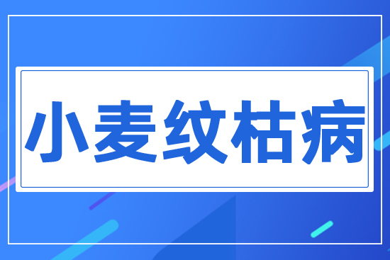 С���y�ݲ�