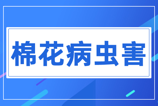 �޻��ش��x(ch��ng)��