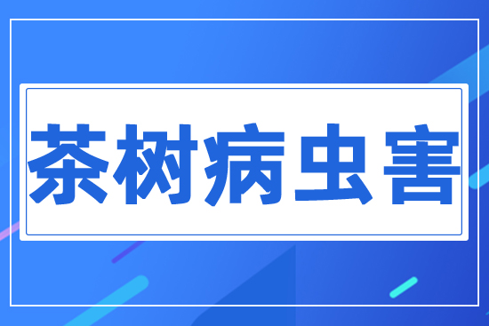 ��䲡�x��