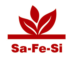 �׶�ʥ��˹���﹤�����޹�˾