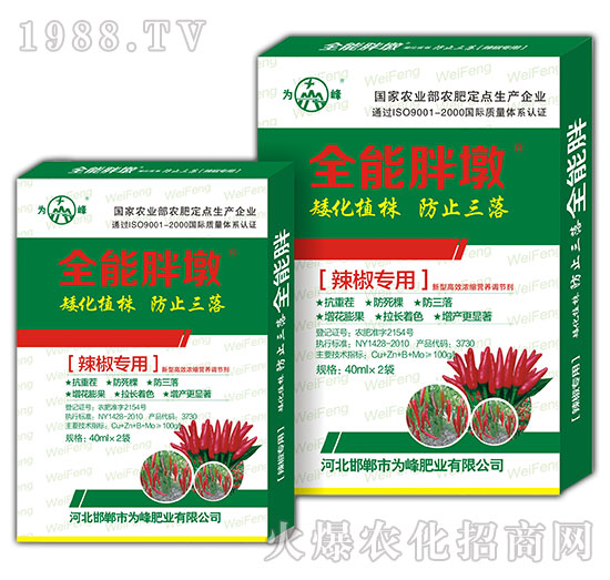 ȫ���ֶ�-��������-���