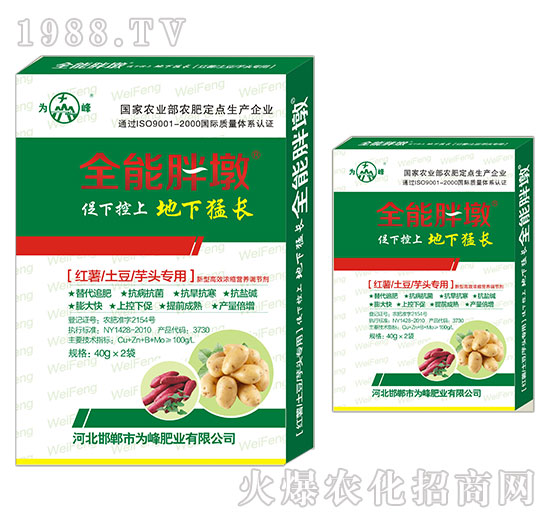 �t�������������^����-ȫ���ֶ�-���