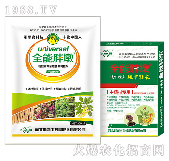 ��ˎ�Č���-ȫ���ֶ�-���