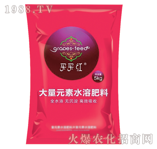 ��߅��ͺϴ�-�E��