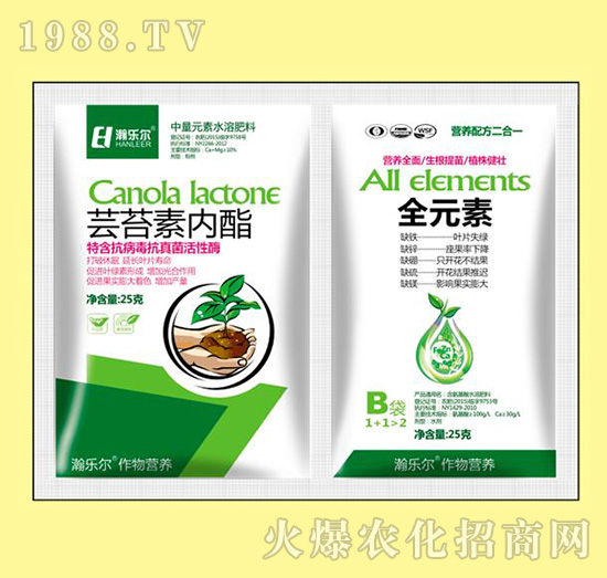 �|̦�؃�(n��i)��+ȫԪ��-嫘�(l��)��