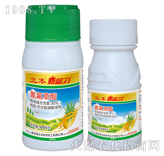 30%�����������-���{��-��������