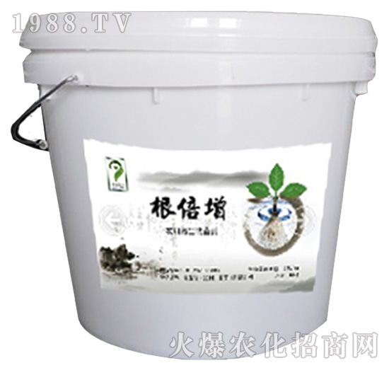 ���Ǹ�����-���ǻ��r(n��ng)