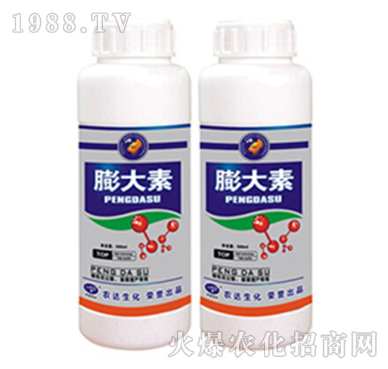 �����-�r�_����