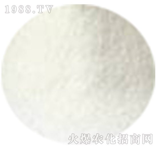 ���ᶡ���-�r(n��ng)�_(d��)����