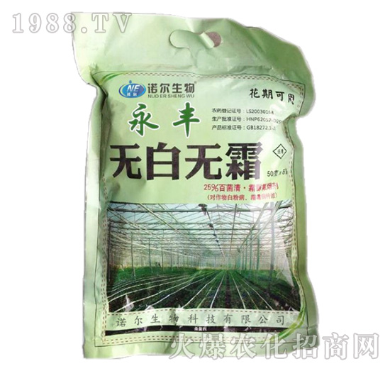 �o�ןo˪-���S-�Z������