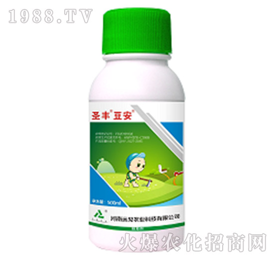 15%��ୡ����ǰ�-ʥ�S����-�hҊ�r�I(y��)