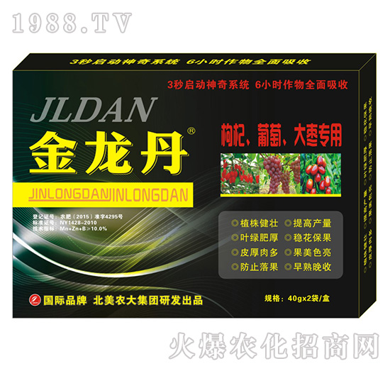 ������-������������󗗌�(zhu��n)��-�����r(n��ng)��