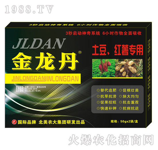 �������������t�팣��-�����r��