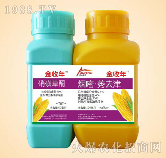 ������-ͬ�S