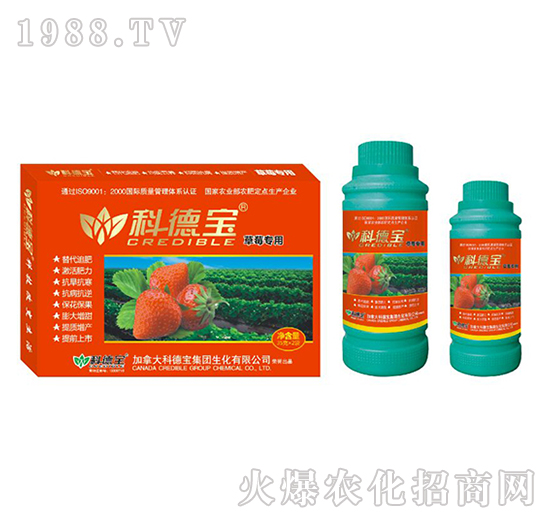 ��ݮ���àI�B(y��ng)���a(ch��n)�{(di��o)�턩-�Ƶ�