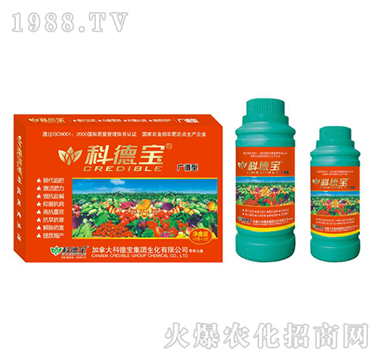 �V�V�͠I�B(y��ng)���a(ch��n)�{(di��o)�턩-�Ƶ�