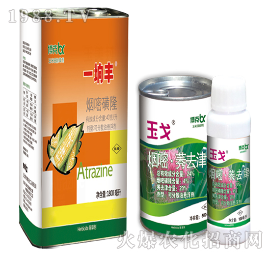 24%���ס�ݬȥ��-���˰ل�