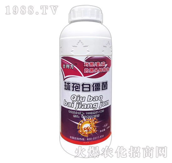 ���߰׽���-����