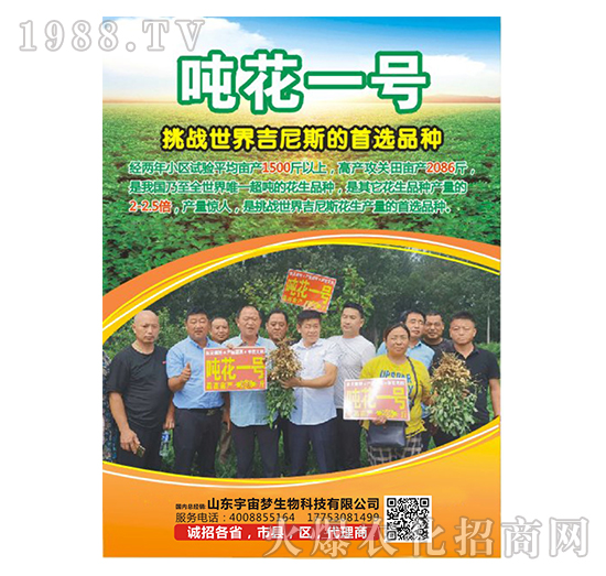 ����һ̖-���������