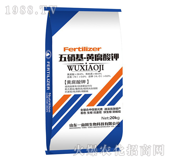 ���������S�����-Ҽ������