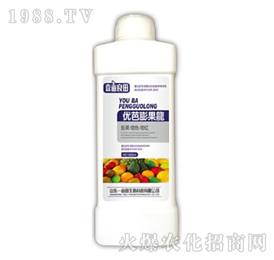 ��(y��u)�������-Ҽ������