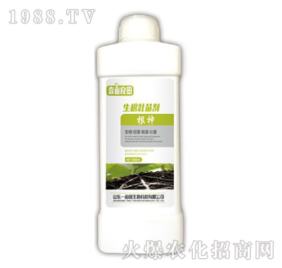 �������焩-Ҽ������