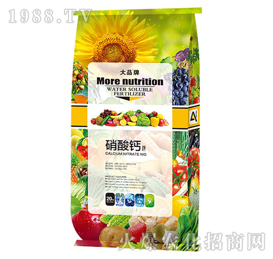 �����}�V-ɽ������