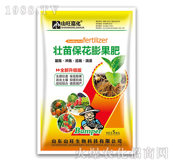 ������������-ɽ������