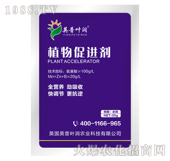 ֲ����M��-Ӣ���~��