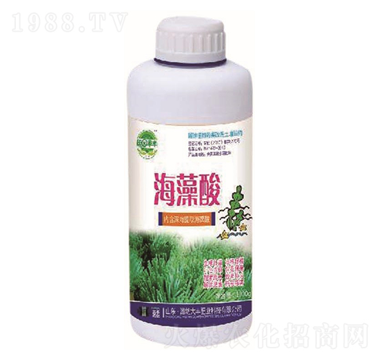 ������-��@���S-���S�ʘI(y��)