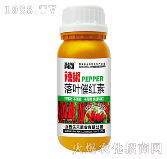 �����߼t��-����