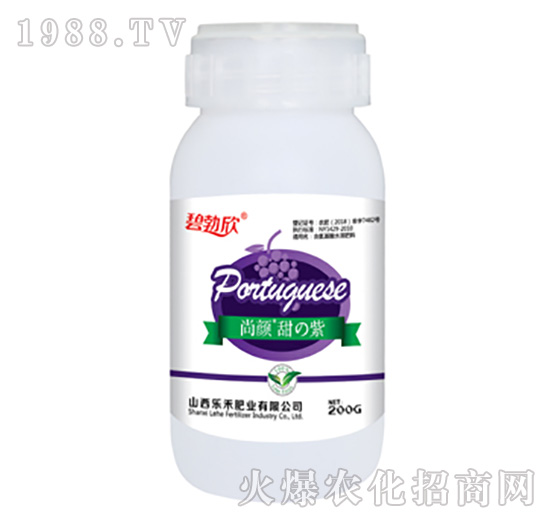 ��������-����