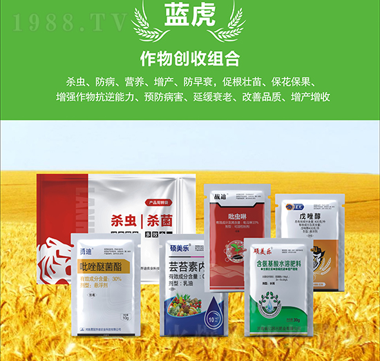 С�����a(ch��n)�ײ�-�{(l��n)��Ʒ��